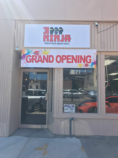 3 Ninja